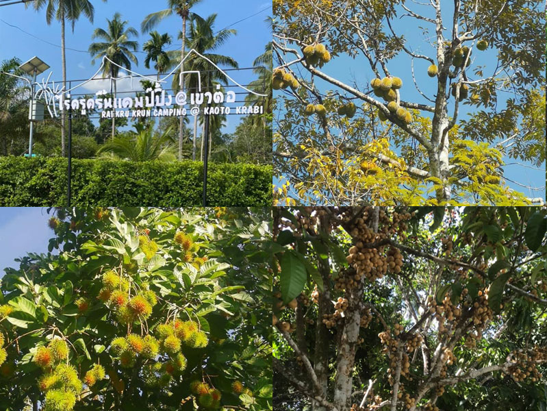 homepage-ที่พัก-เขาค้อ-ภูแก้ว-2-web